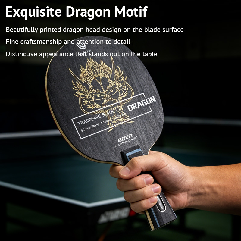 مضرب تنس الطاولة BOER DRAGON خ - مراجعة Table Tennis Viscaria وسعره