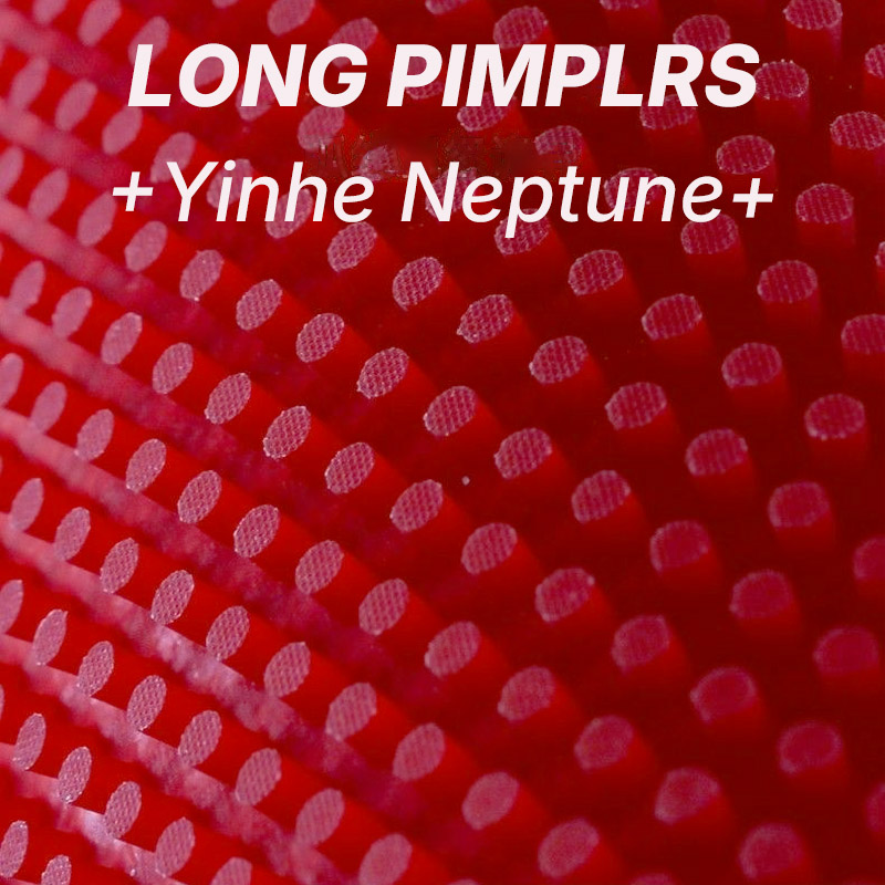 مطاط تنس الطاولة YINHE NEPTUNE - مراجعة Table Tennis Xiom Rubber وسعره