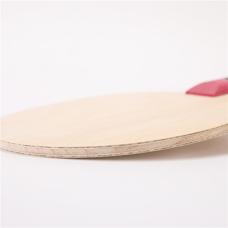 مضرب تنس من طبقات الخشب ، أليا - مراجعة Table Tennis Viscaria وسعره